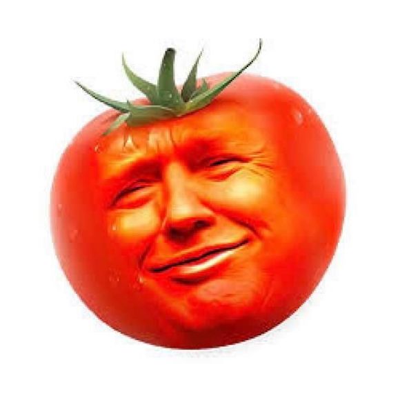 Meet your Posher, Emily - Picture 1 of 1